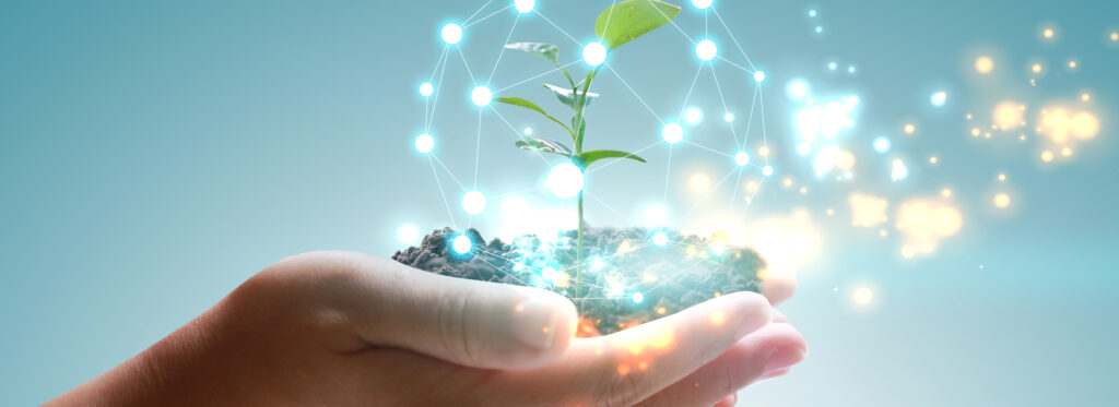 environmental-issues