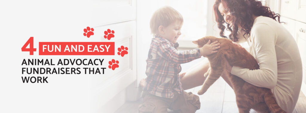 animal advocacy fundraiser