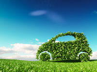 No matter the mission any charity can become one of the environmental nonprofits for the planet.