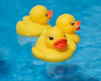 Another unique fundraiser is a rubber duck race.