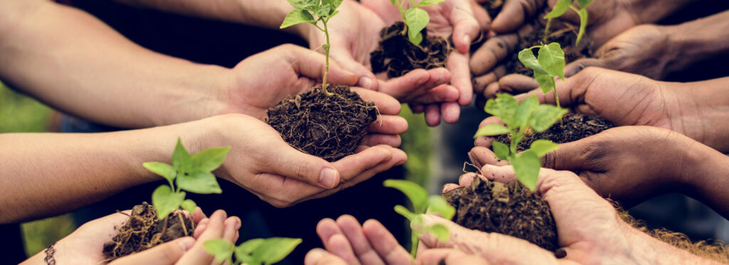 Social enterprises that also make money.