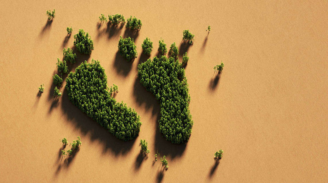 Have you ever considered a green recycle fundraiser or event? Learn why these events are great ways to bring communities together.