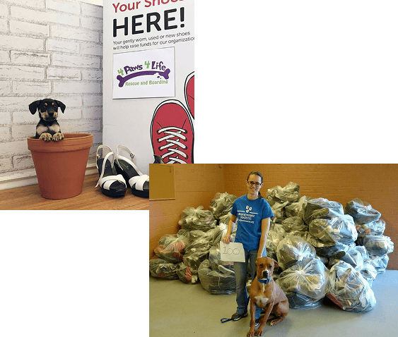 Why a Shoe Drive is Perfect for Animal Organizations