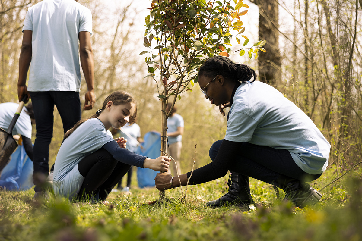 Two diverse activists working together to plant more trees and greenery, filling up ground holes and growing vegetation. Kid and teenager girls collaborating on preserving the environment.